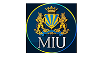 MIU software development myanmar