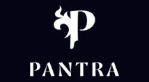 Pantra beauty web development myanmar