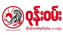 Web design agency in myanmar